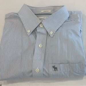 Abercrombie & Fitch Vintage Men's White and Blue Pinstripe Shirt